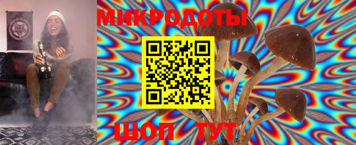 Родники  Галлюциногенные грибы Psilocybine cubensis  Вход с VPN 